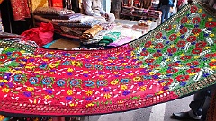 delhi1113a (39)